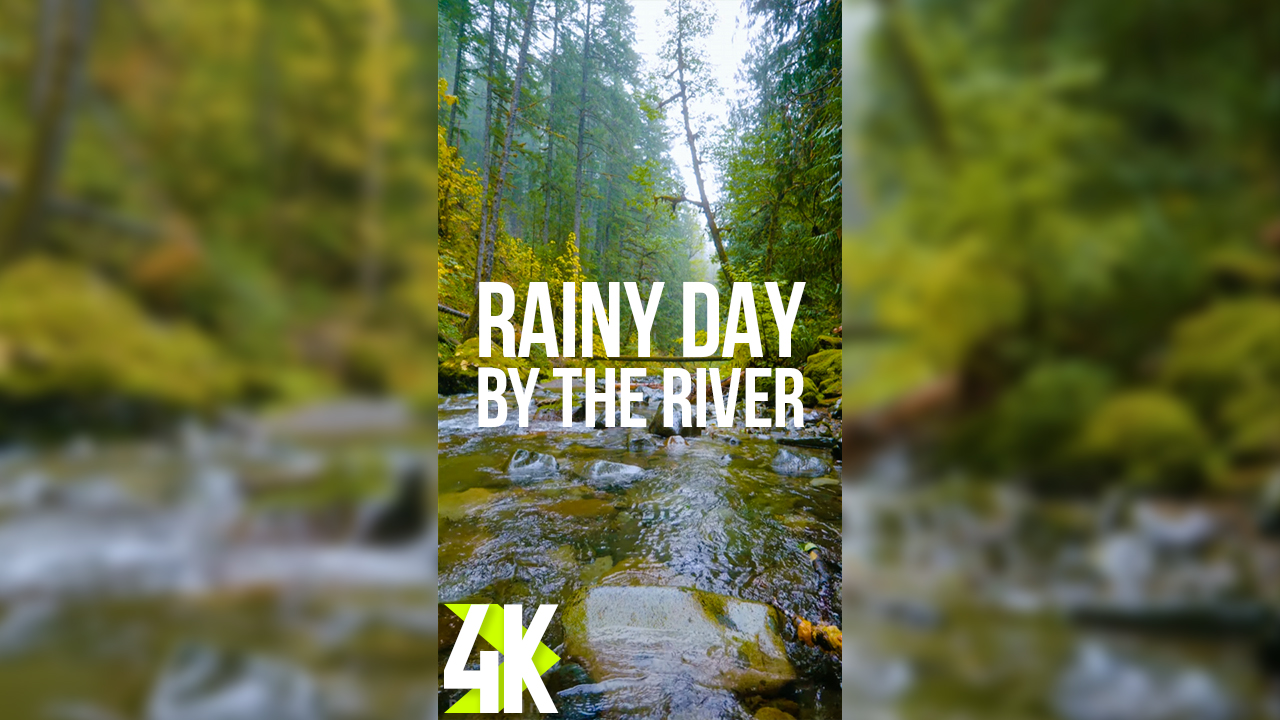 4K_Rainy_Autumn_day_by_the_river_Vertical_Display_Video_3_Hours