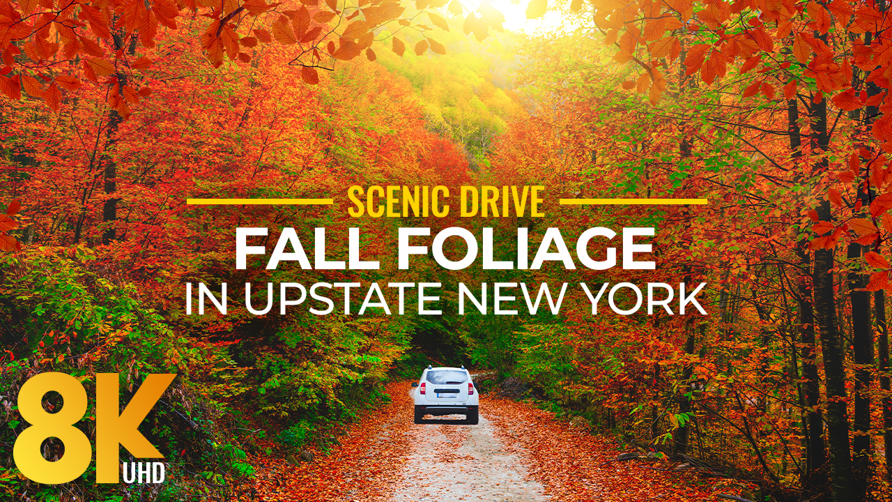 8K_Fall_Foliage_In_Upstate_New_York_October_16_2022_Scenic_Drive