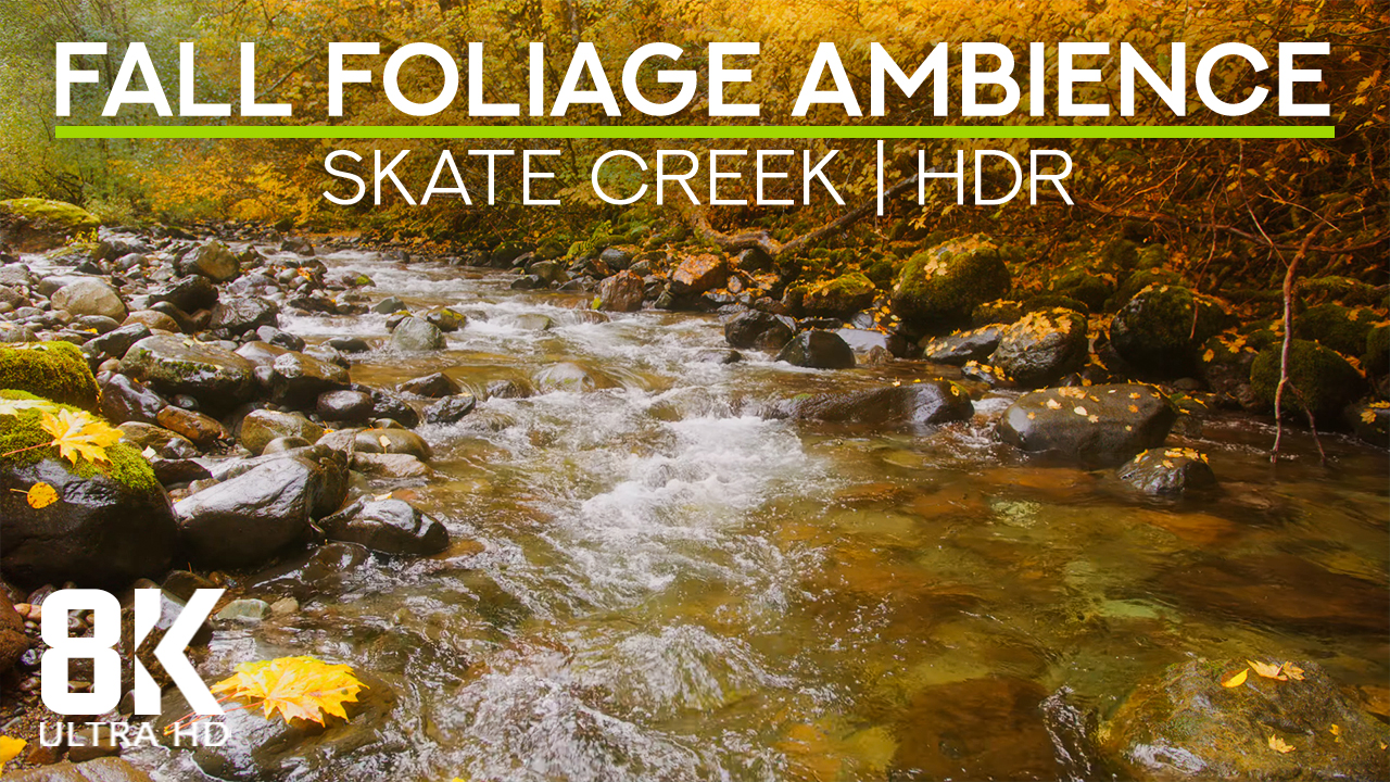 8K_HDR_Autumn_River_in_Fall_Foliage_Season_Skate_Creek_Road_1_Hour