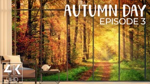 8K_Sunny_Autumn_Day_Episode_3_NATURE_RELAX_VIDEO_8_hours_YOUTUBE