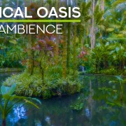 8K_TROPICAL_OASIS_Nature_Relax_Video_8_Hours_ONLY_SELL_YOUTUBE