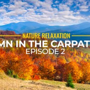 Autumn in the Carpathians film part 2 YOU