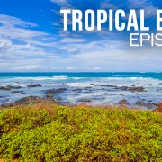 4K Tropical Beach Ambience Part 2 8 hours