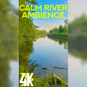 4K_The_charm_of_the_quiet_river_vertical_display_video_3_Hours