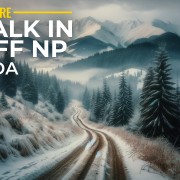 4k Banff National Park Walking Tour YOUTUBE