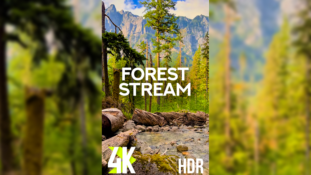 4K HDR FOREST STREAM Vertical Relax Video 1 hour