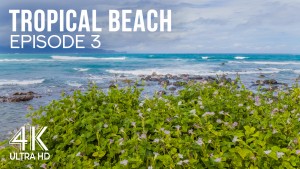 4K Tropical Beach Ambience Part 3 8 hours