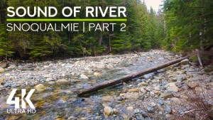 4K_South_fork_snoqualmie_river_part_2_Nature_Relax_Video_8_hours