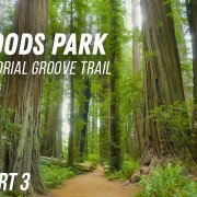 8K STOUT MEMORIAL GROVE TRAIL Part 3 outdoor exercise video
