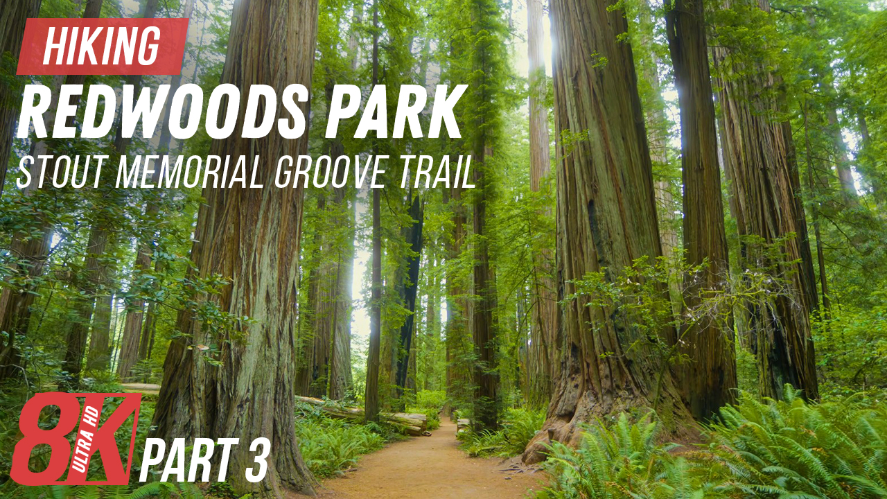 8K STOUT MEMORIAL GROVE TRAIL Part 3 outdoor exercise video