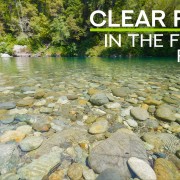 4K Redwood forest clear river Part 2 Relax video 8 hours