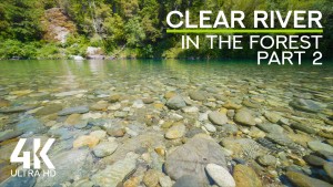 4K Redwood forest clear river Part 2 Relax video 8 hours