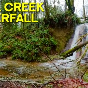 8K Coal Creek Waterfall Natural Area 360 VR Video