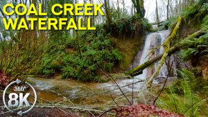 8K Coal Creek Waterfall Natural Area 360 VR Video