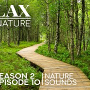 4K RELAX WITH NATURE SEASON 2 EPISODE 10 WITH NATURE SOUNDS