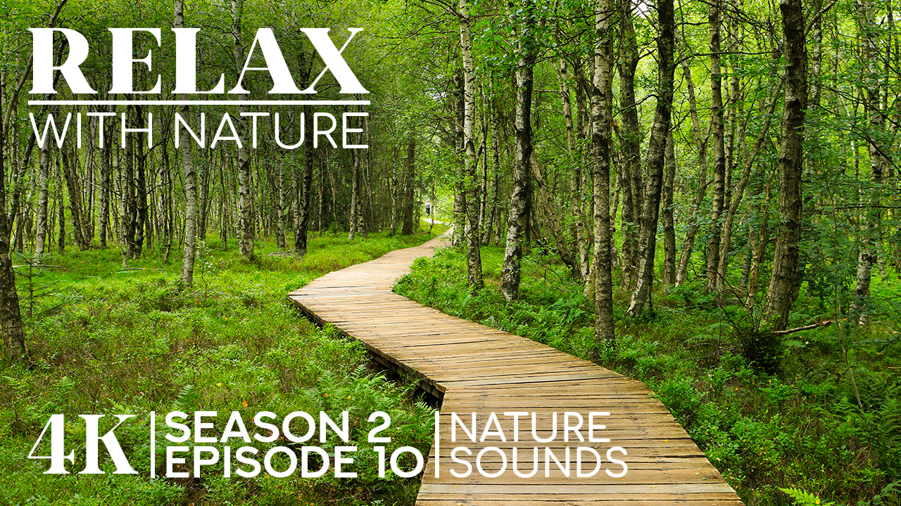 4K RELAX WITH NATURE SEASON 2 EPISODE 10 WITH NATURE SOUNDS