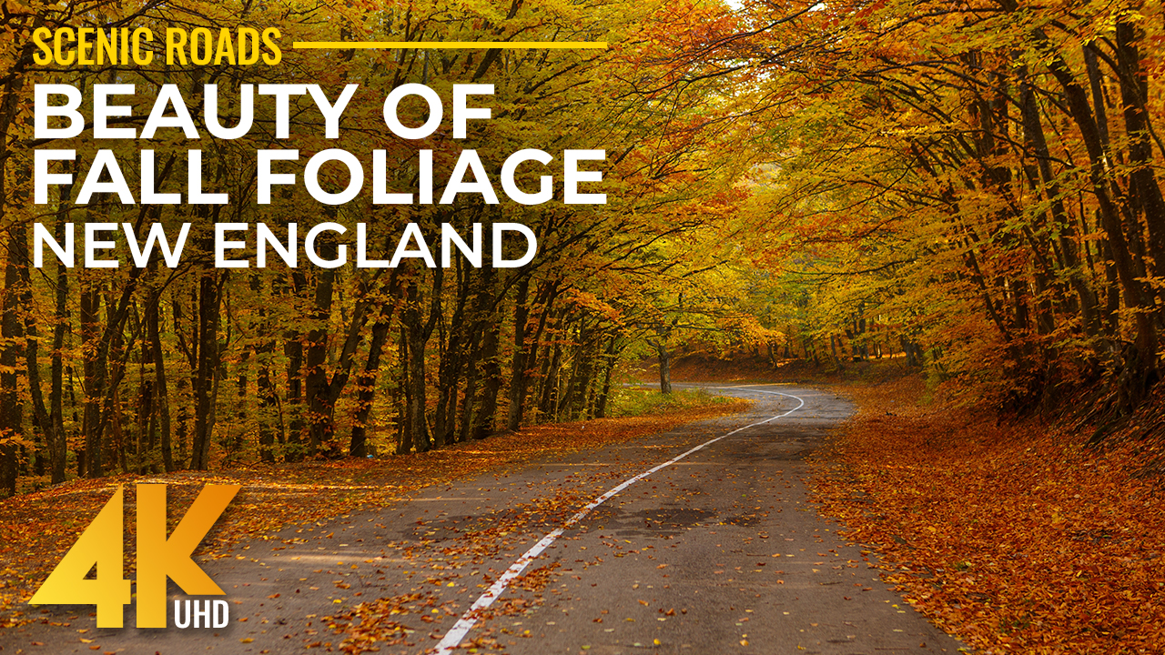 4K_Autumn_Scenic_Roads_New_England_New_Hampshire_10_17_2021_Best