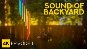 Sound of backyard_Episode 1